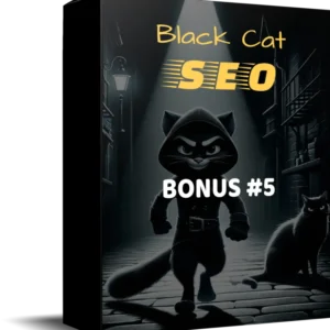 Black Cat SEO